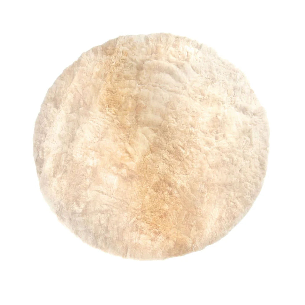 Teppich offwhiter und Edwin